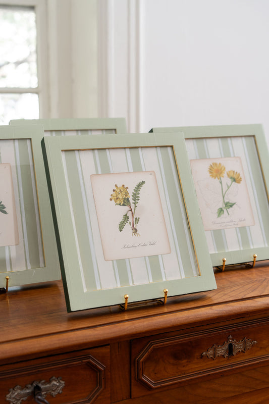 Bespoke Botanical | Antique Botanical Book Plate (c. 1890) in Hand Painted Frame