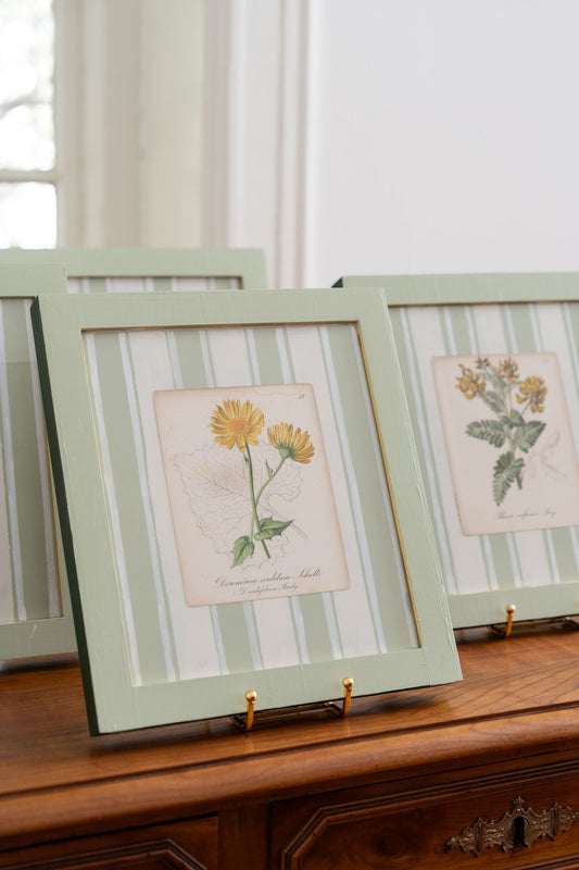 Bespoke Botanical | Antique Botanical Book Plate (c. 1890) in Hand Painted Frame