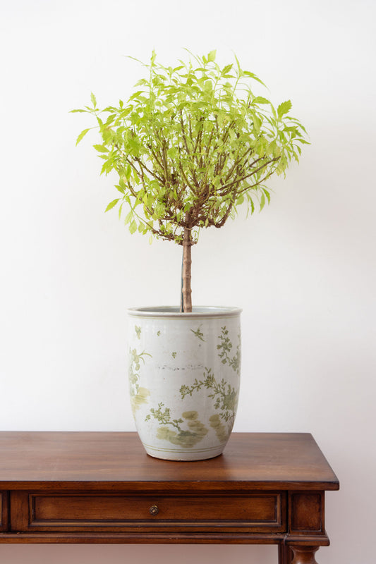 Large Green + White Chinoiserie Planter / Vase