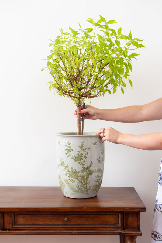 Large Green + White Chinoiserie Planter / Vase