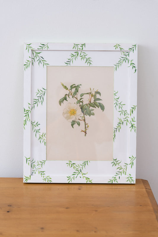 Bespoke Botanical | Antique Botanical Book Plate of White Roses in Hand Painted Frame